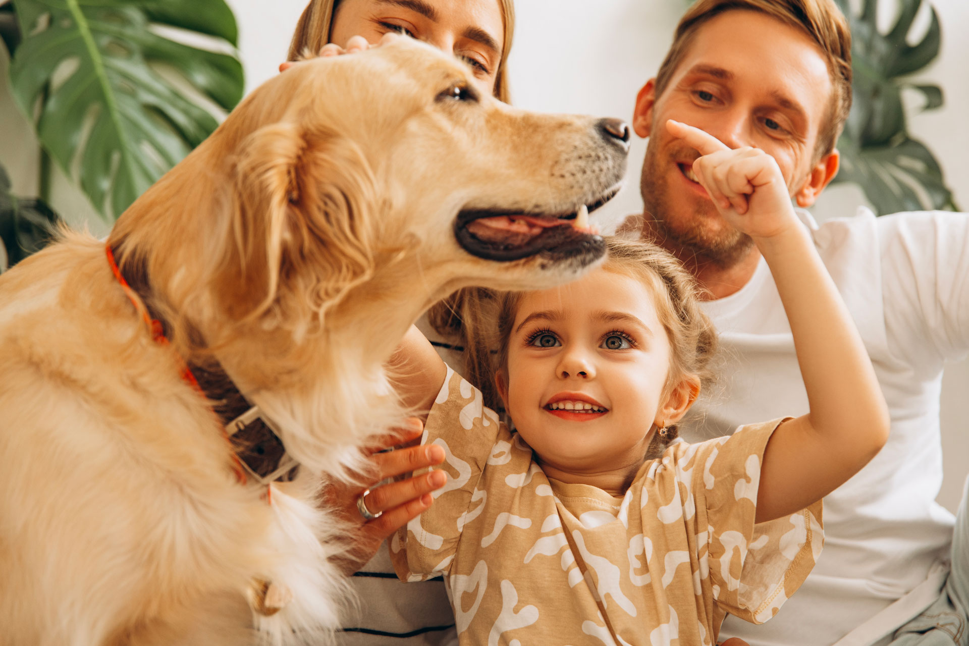 happy-beautiful-mother-father-cute-little-daughter-playing-together-with-dog-golden-retriever